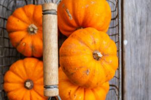 A basket of pumpkins.