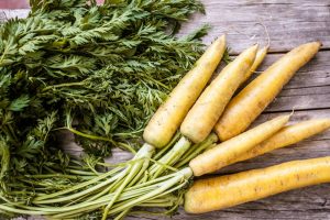 Fresh organic carrots