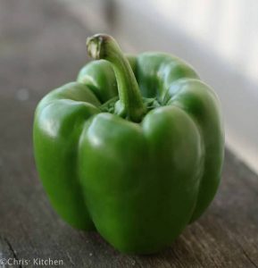 Green bell pepper.