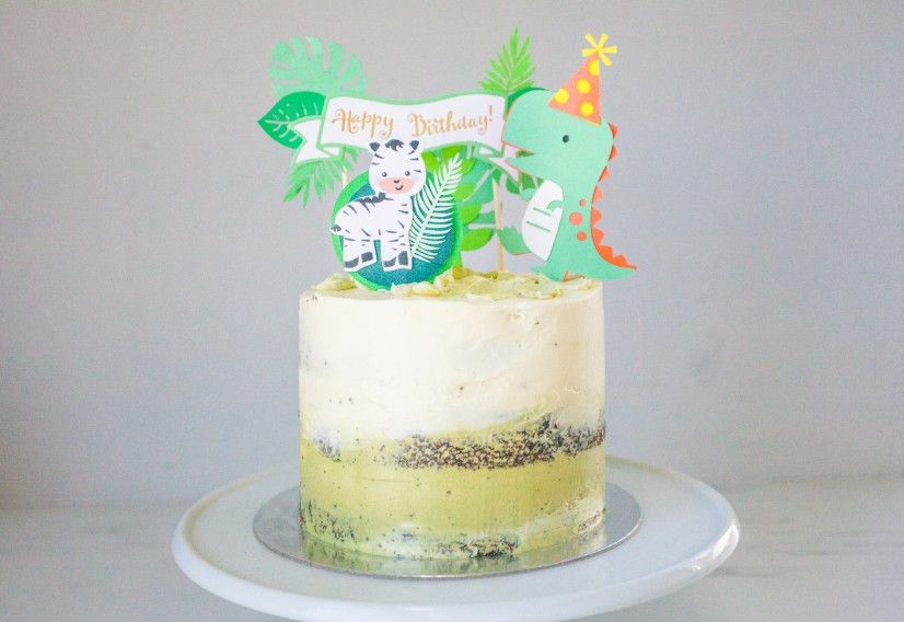 Party Animal Birthday Cake