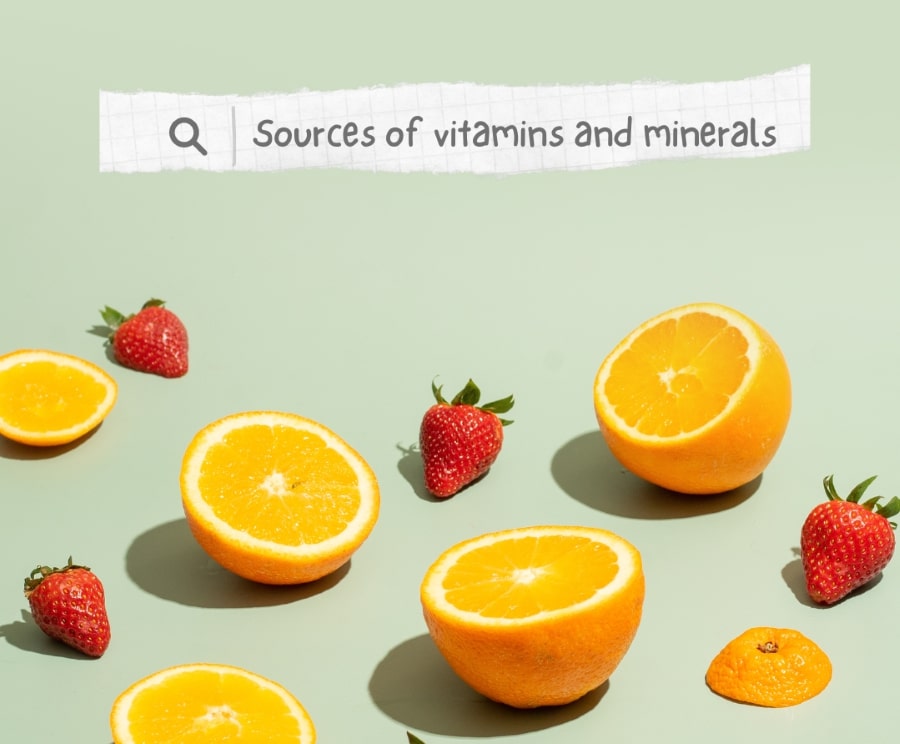 Sources of vitamins and minerals.