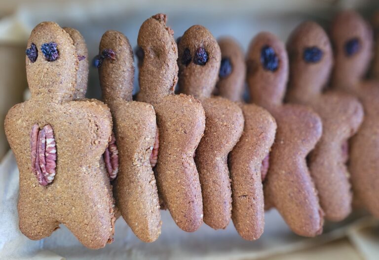 gingerbread gingerbread folk